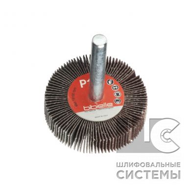 RG0242 Круг лепестковый с оправкой RG 40x10x6мм P320 (Bibielle)